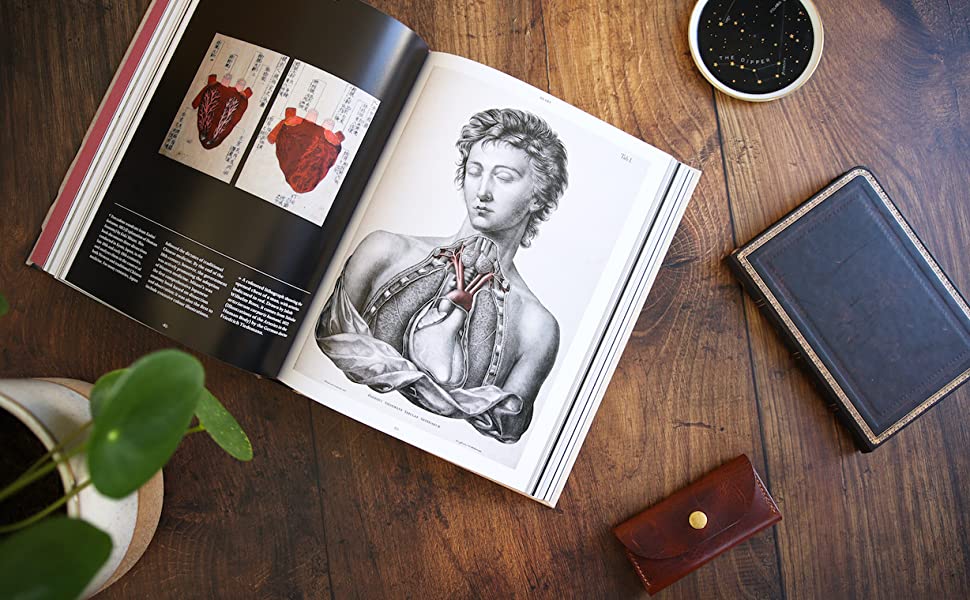 The best books on human anatomy for artists